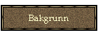 Bakgrunn